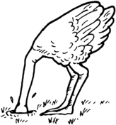 Ostrich coloring #8, Download drawings