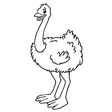 Ostrich coloring #4, Download drawings