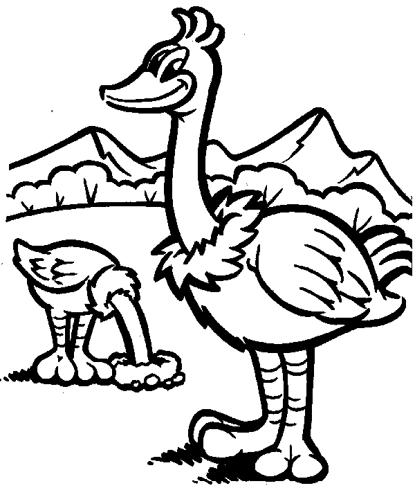 Ostrich coloring #5, Download drawings
