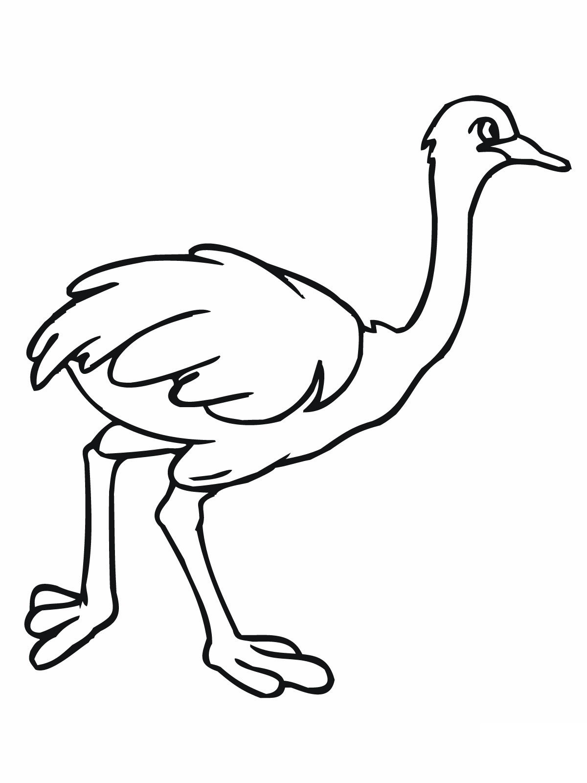 Ostrich coloring #19, Download drawings