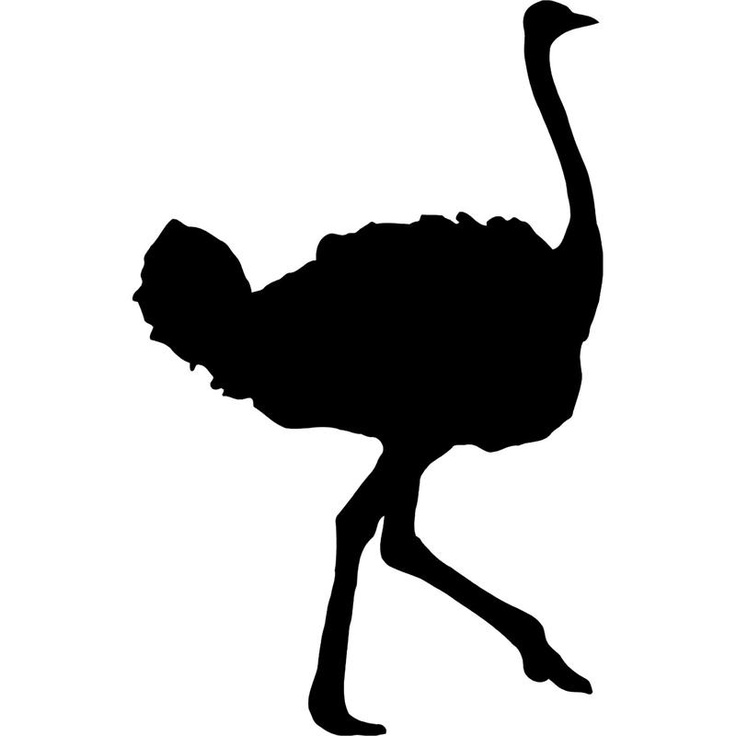 Ostrich svg #14, Download drawings