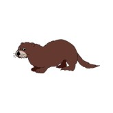 Otter clipart #12, Download drawings