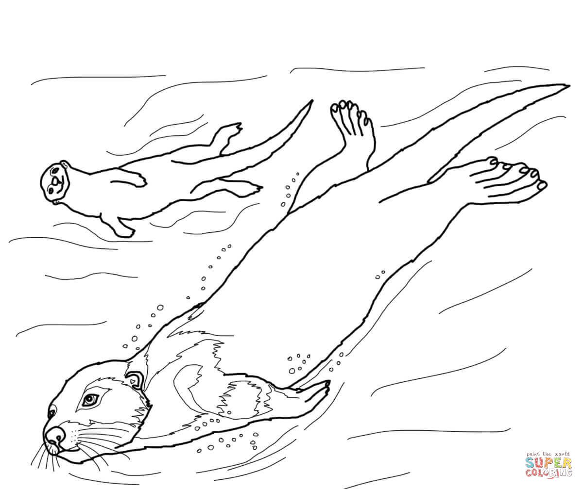 Otter coloring #17, Download drawings