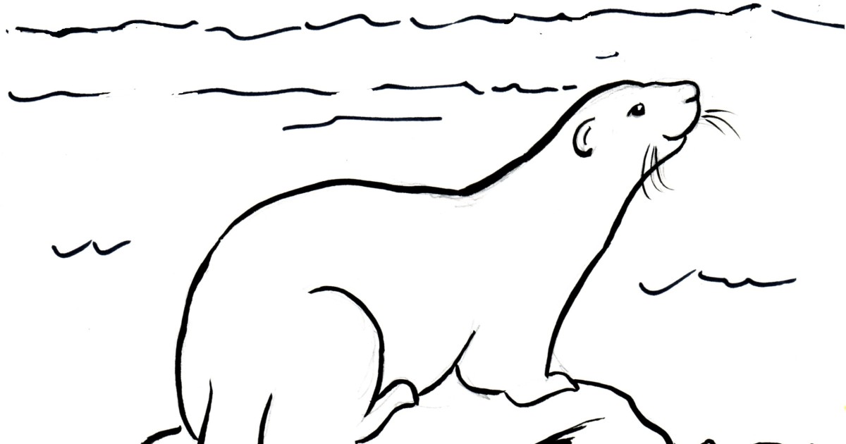 Otter coloring #6, Download drawings