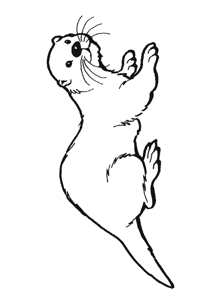 Otter coloring #5, Download drawings