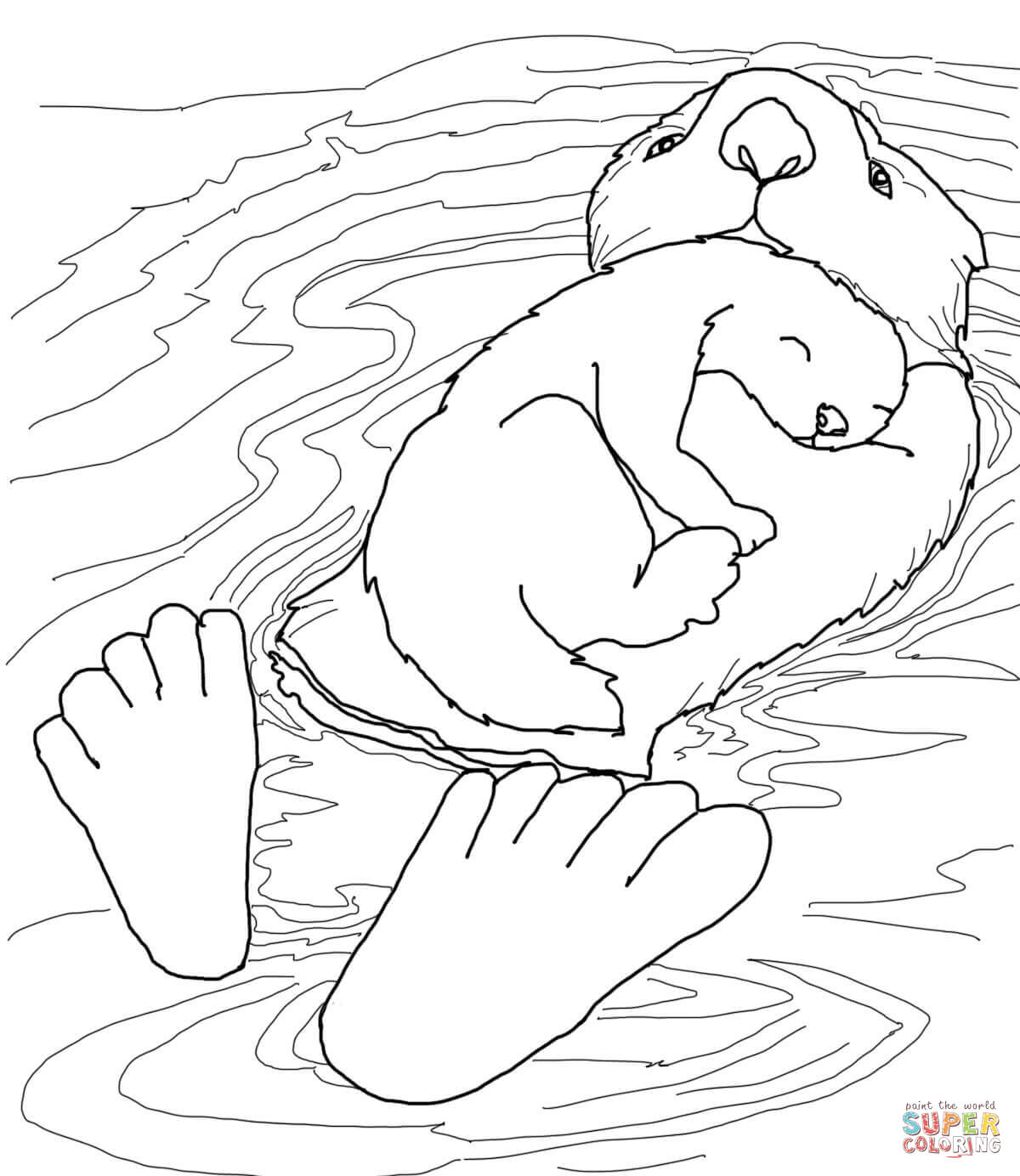 Sea Otter coloring #12, Download drawings
