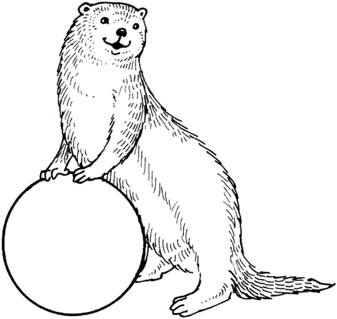 Sea Otter coloring #14, Download drawings