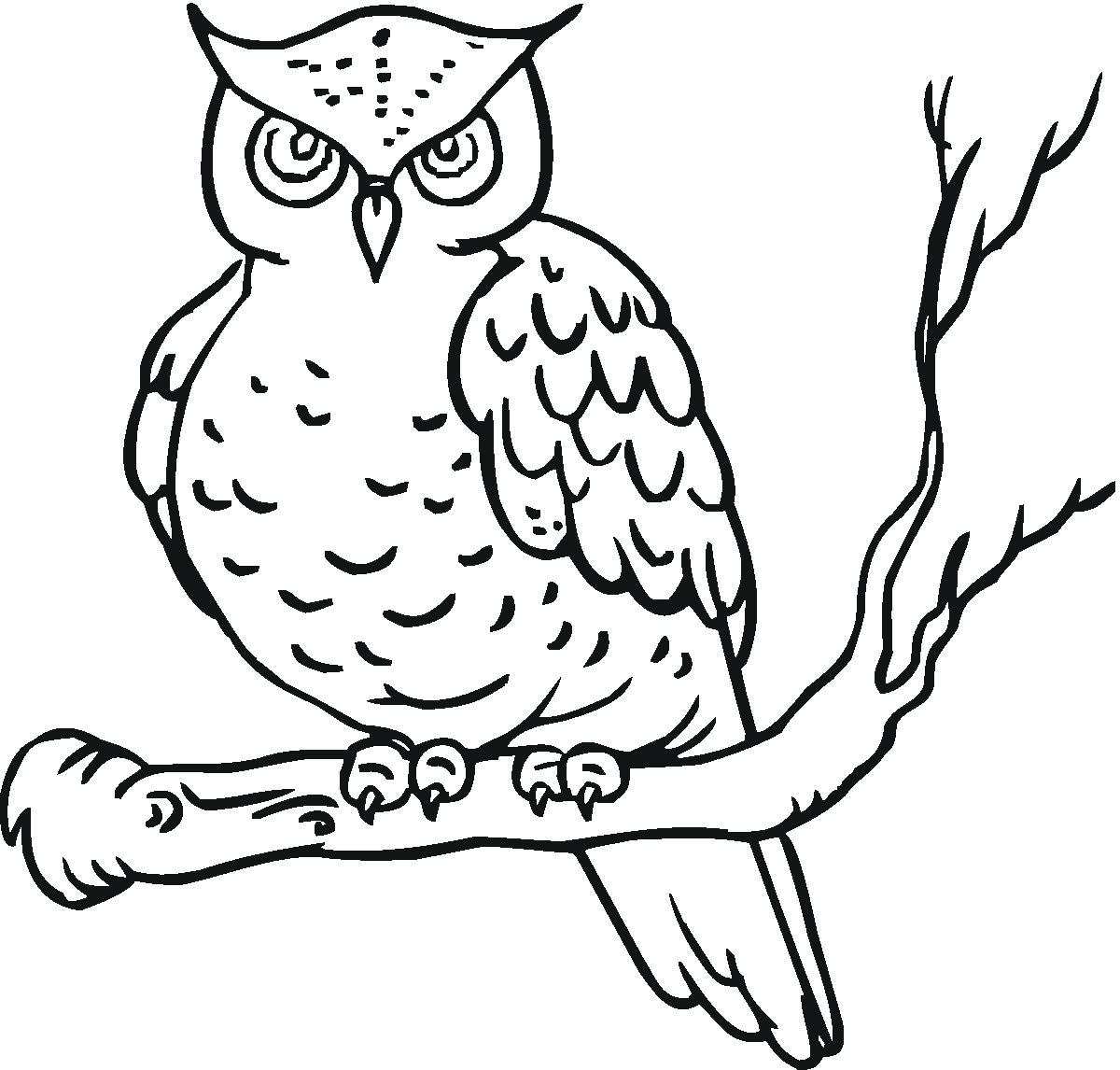 Owl coloring #17, Download drawings