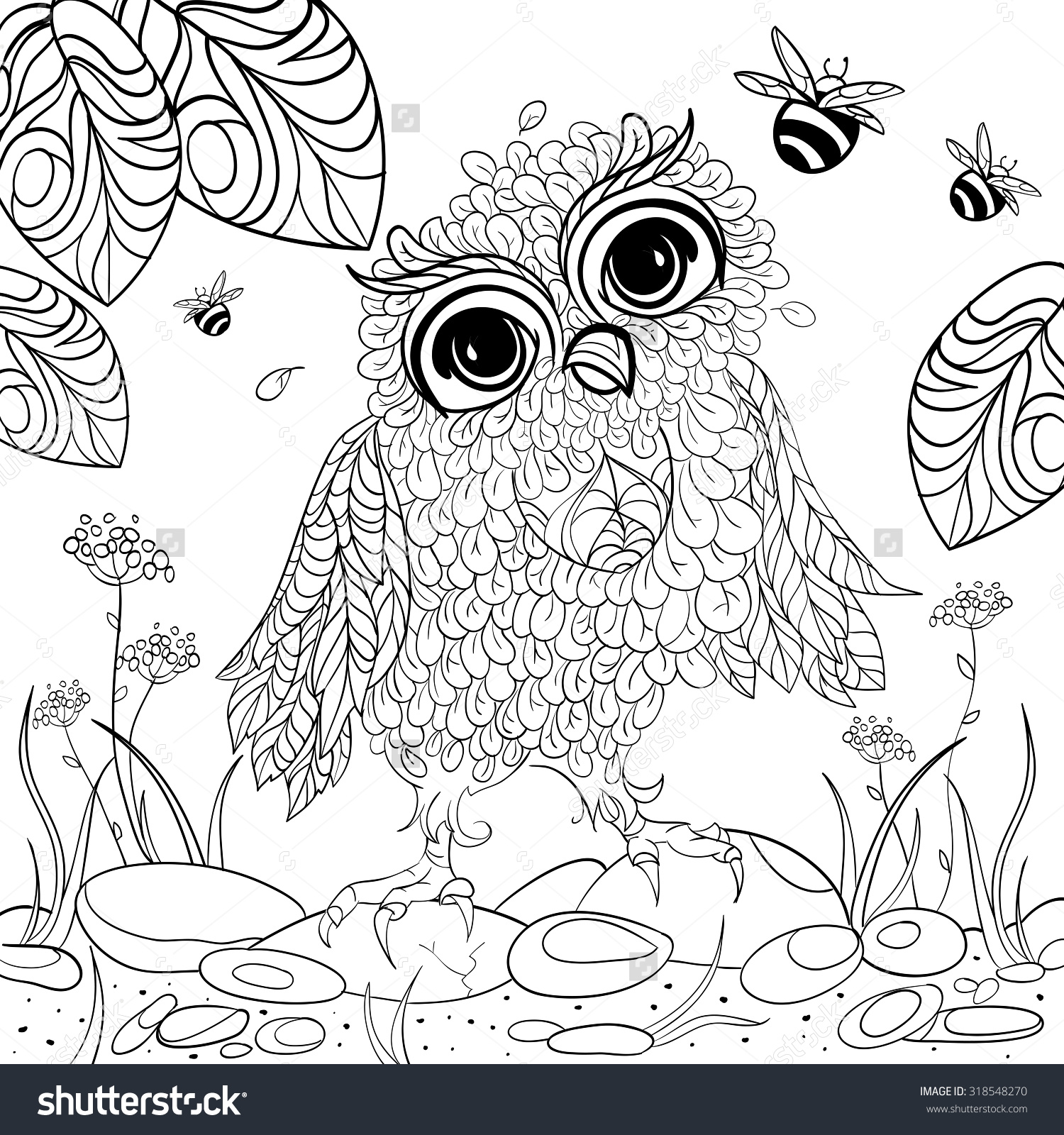 Owlet coloring #5, Download drawings