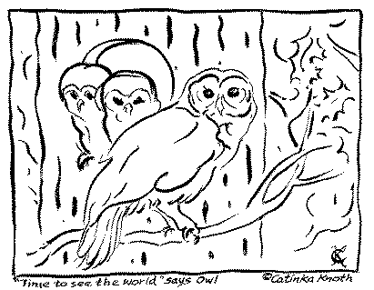 Owlet coloring #17, Download drawings