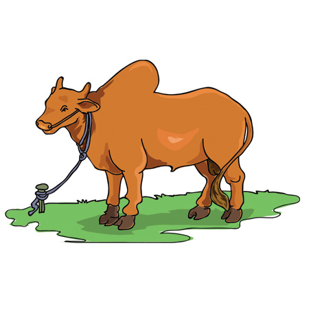 Ox clipart #14, Download drawings