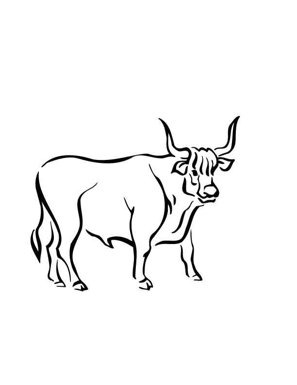 Ox coloring #12, Download drawings