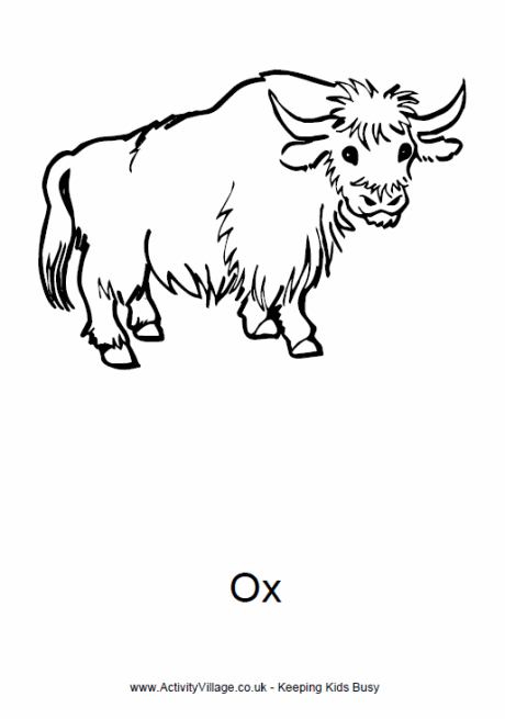 Ox coloring #13, Download drawings