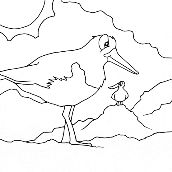 Oyster Catchers coloring #6, Download drawings