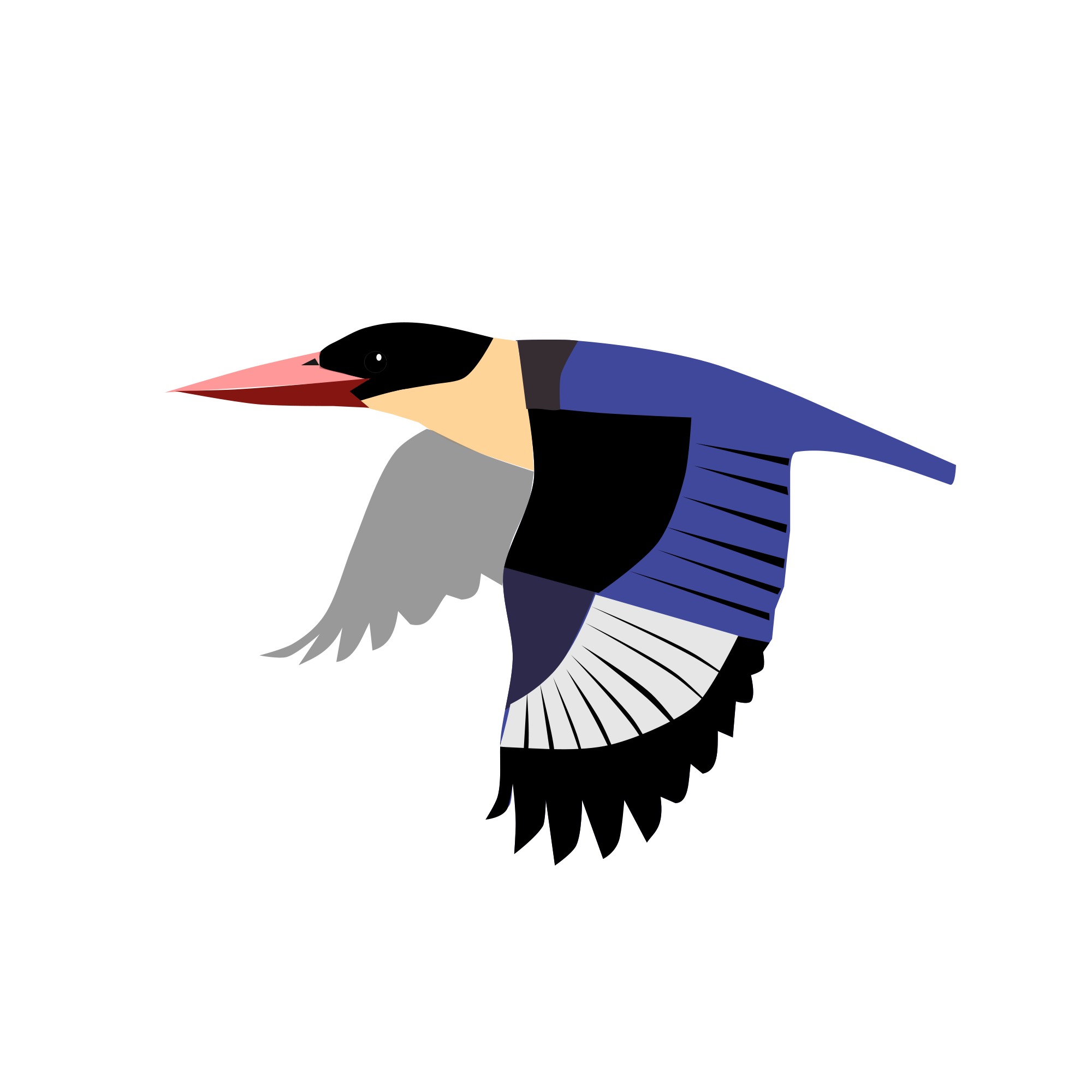 Oystercatcher svg #11, Download drawings