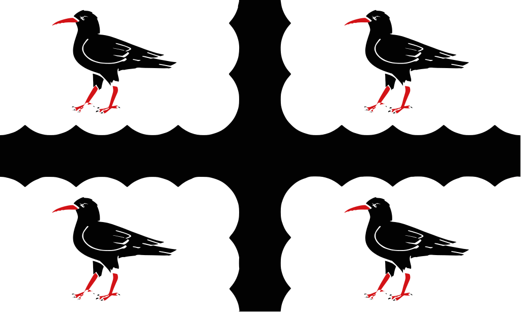 Oystercatcher svg #15, Download drawings