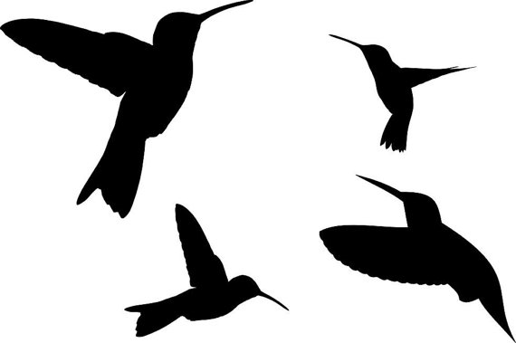 Oystercatcher svg #14, Download drawings