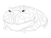 Pac-man Frog coloring #8, Download drawings