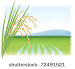 Paddy Field clipart #17, Download drawings