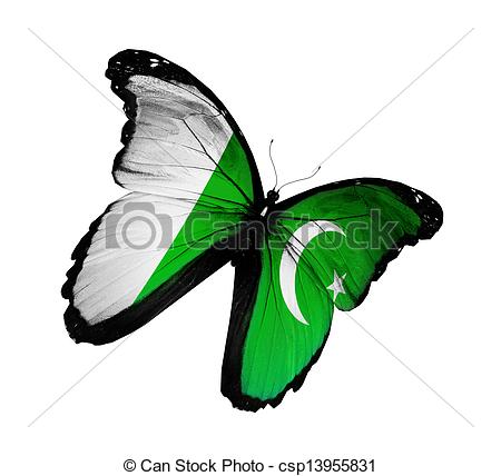 Pakistan clipart #4, Download drawings