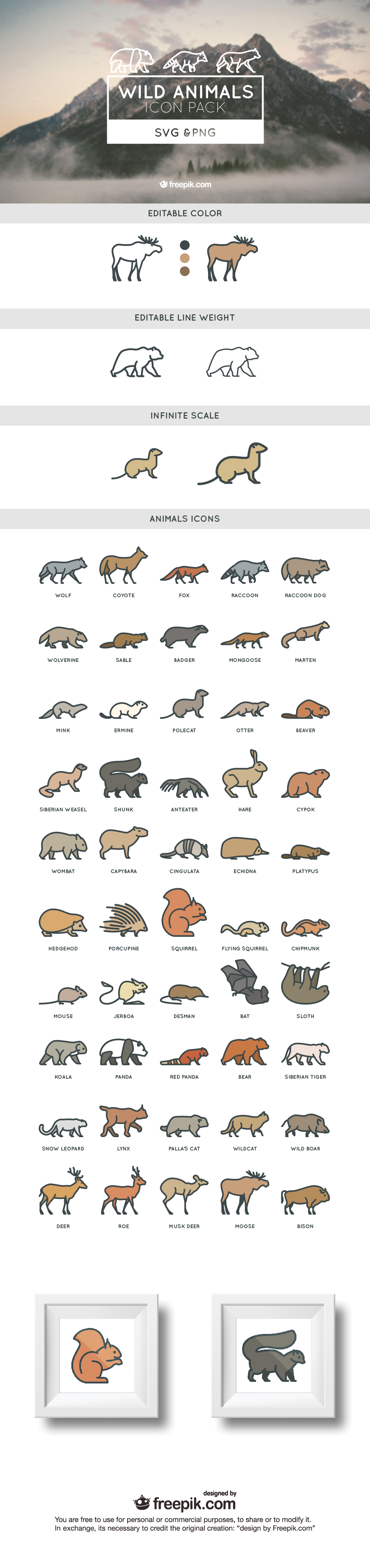 Pallas's Cat svg #12, Download drawings