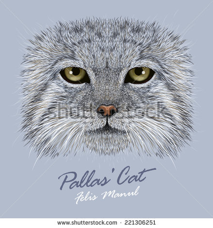 Palla's Cat svg #11, Download drawings