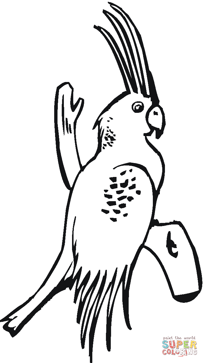 Palm Cockatoo coloring #17, Download drawings