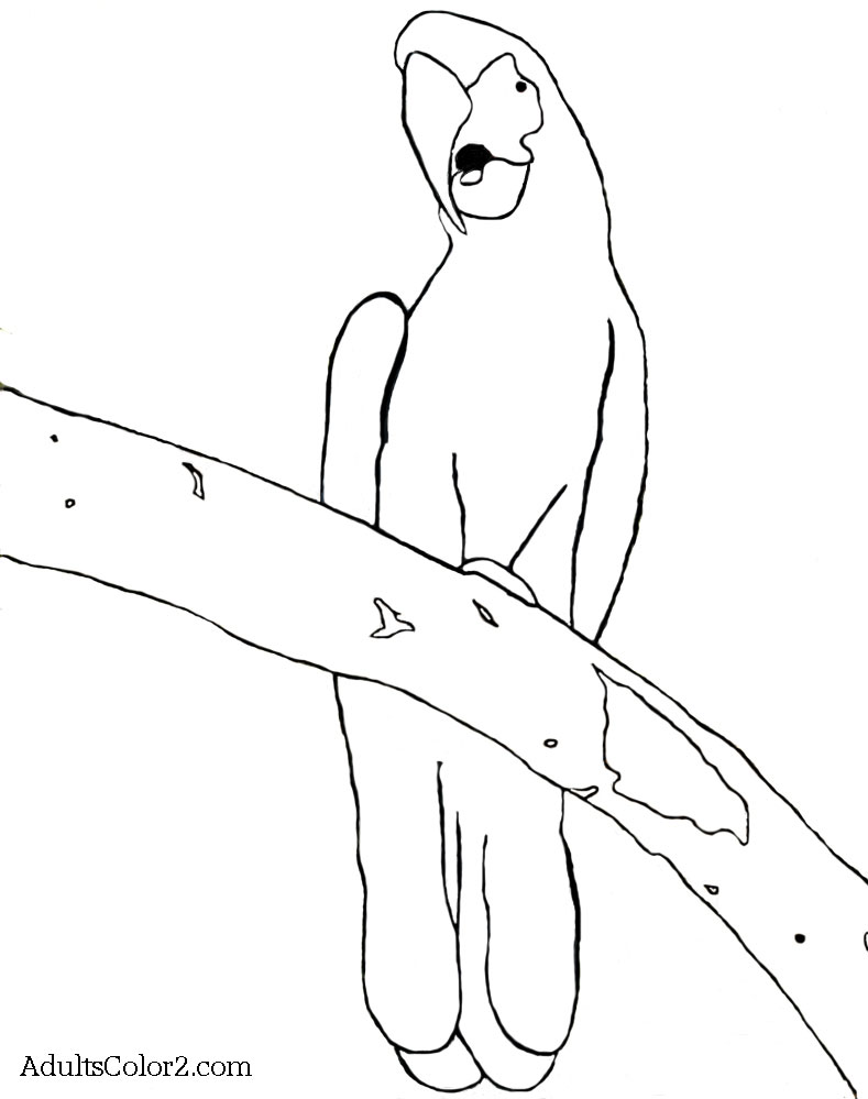 Palm Cockatoo coloring #16, Download drawings