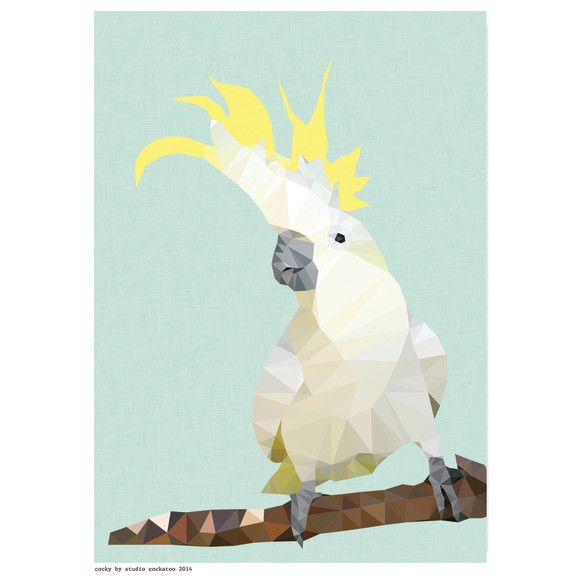 Palm Cockatoo svg #7, Download drawings