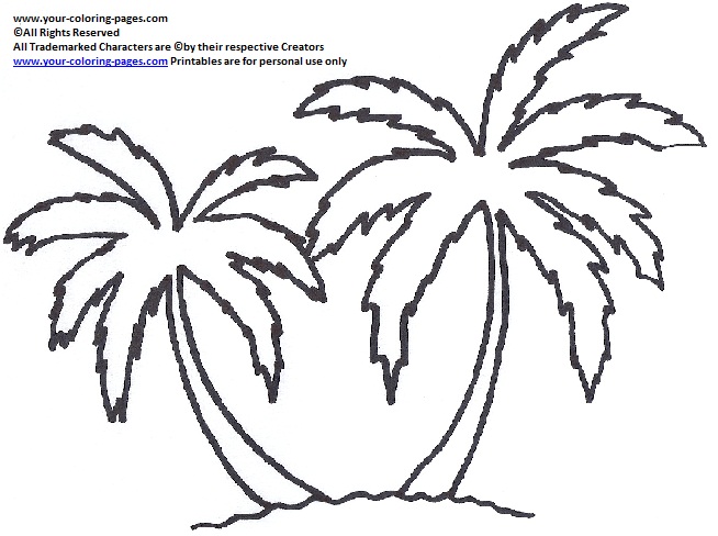 Palm Tree coloring #12, Download drawings
