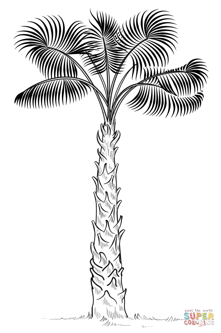 Palm Tree coloring #3, Download drawings