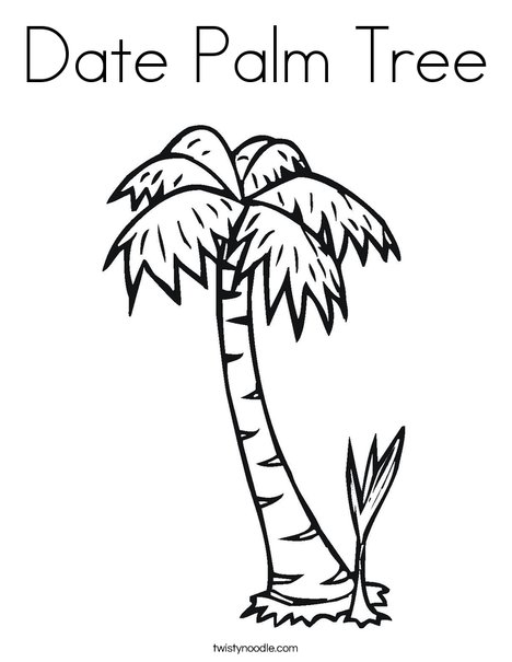 Palm Tree coloring #2, Download drawings