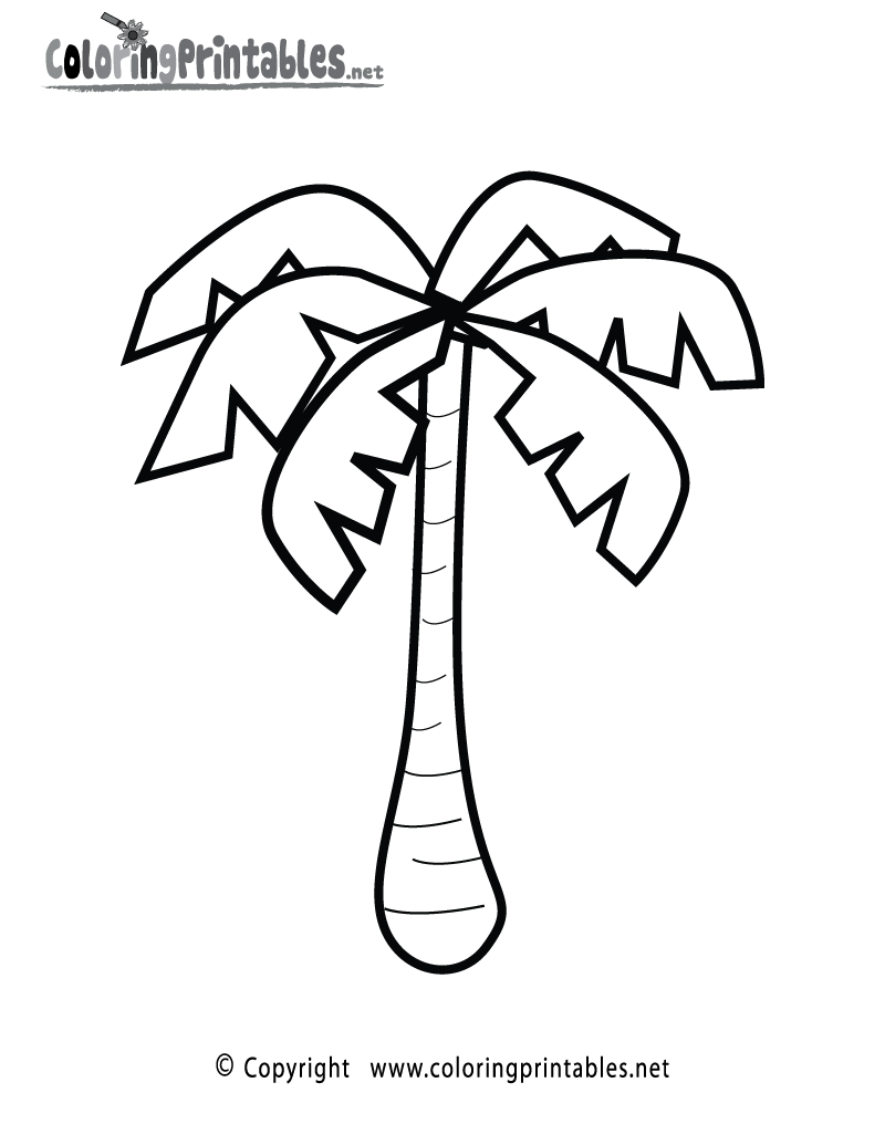 Palm Tree coloring #19, Download drawings
