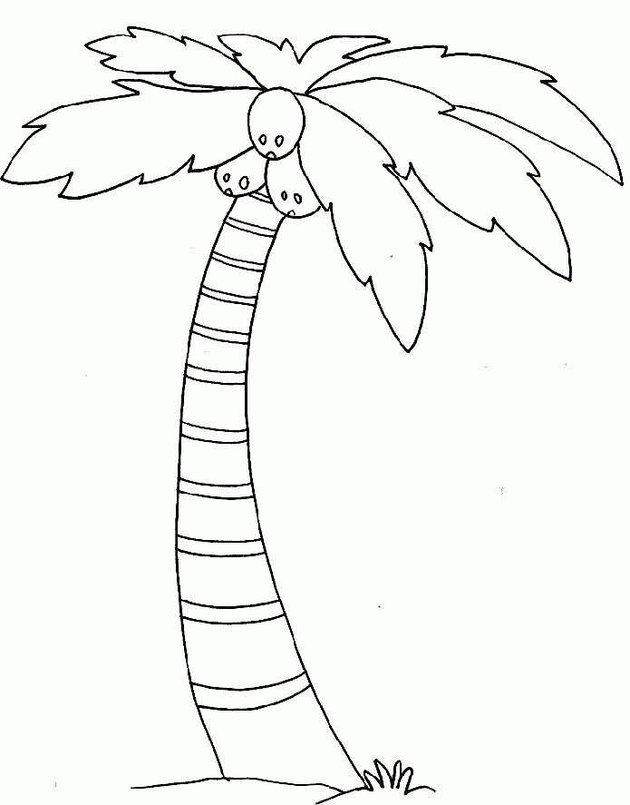 Palm Tree coloring #17, Download drawings