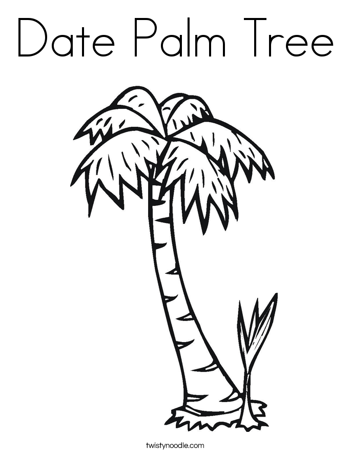 Palm Tree coloring #15, Download drawings