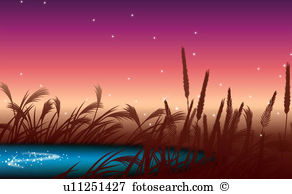 Pampas Grass clipart #8, Download drawings