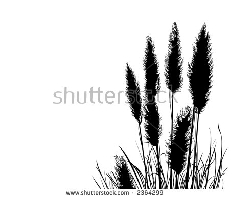 Pampas Grass clipart #3, Download drawings