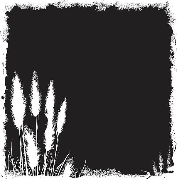 Pampas Grass clipart #6, Download drawings