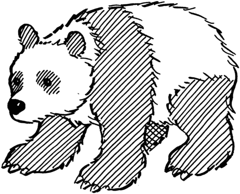 Panda coloring #12, Download drawings