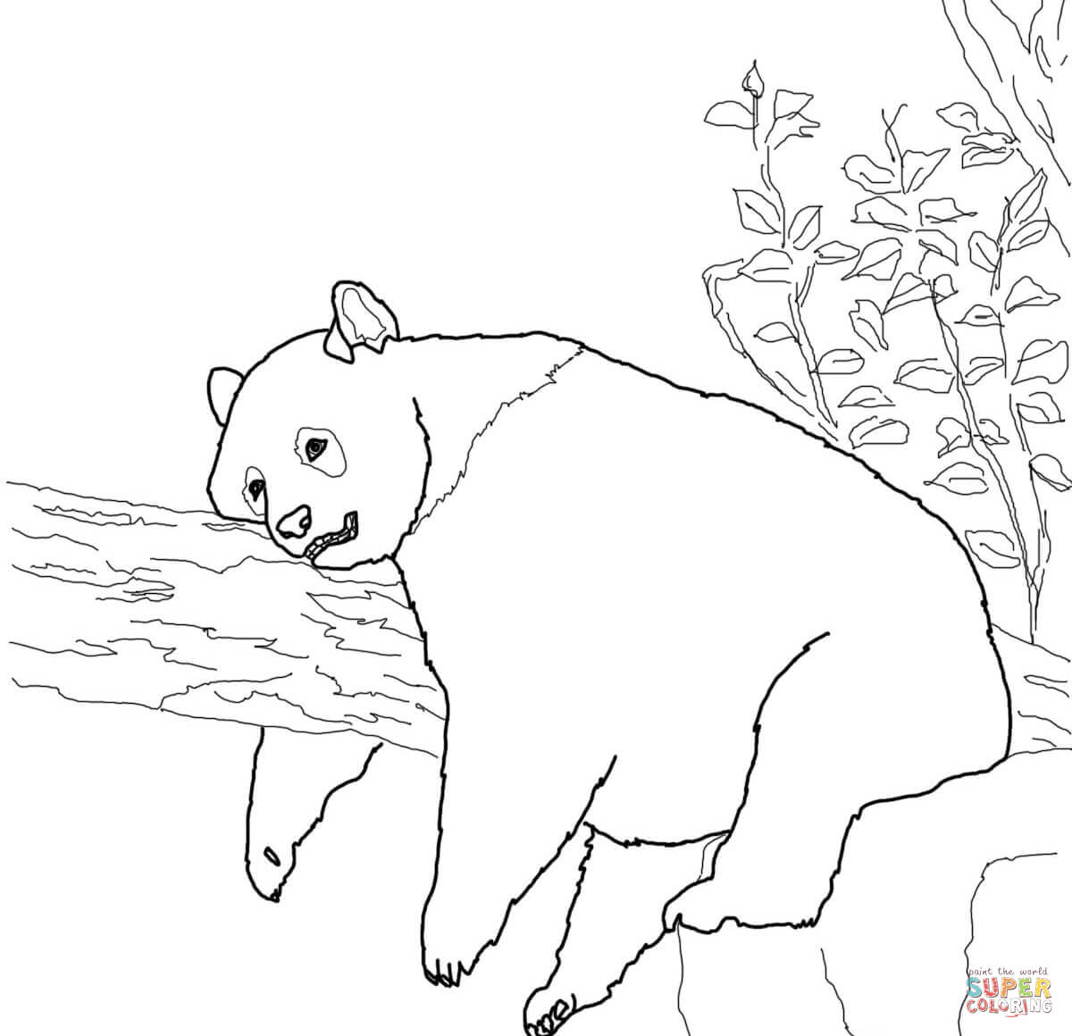 Panda coloring #15, Download drawings
