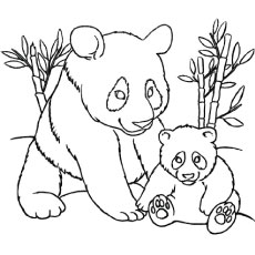 Panda coloring #1, Download drawings