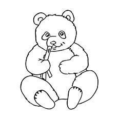 Panda coloring #20, Download drawings