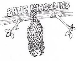 Pangolin coloring #14, Download drawings