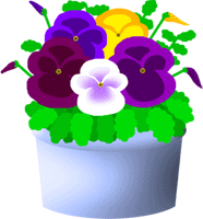 Pansy clipart #11, Download drawings