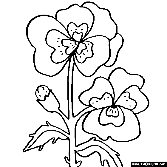 Pansy coloring #20, Download drawings