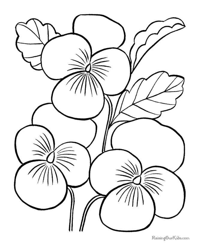 Pansy coloring #15, Download drawings