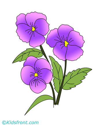 Pansy coloring #1, Download drawings
