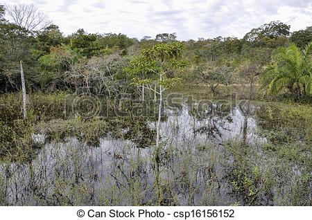 Pantanal clipart #1, Download drawings