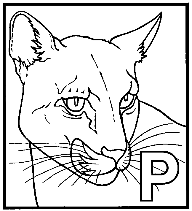 Panther coloring #11, Download drawings