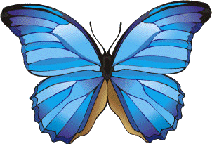 Papillon clipart #6, Download drawings